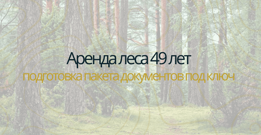 Аренда леса на 49 лет в Челябинске
